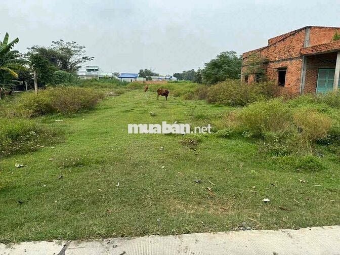 đất MT bê tông Lộc Hoà ,5x40 full thổ cư , shr