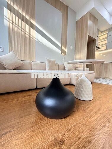 NHÀ FULL NỘI THẤT HẺM NGUYỄN TRI PHƯƠNG