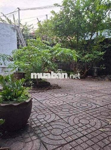 Cho thuê nhà vườn 291,7m2, (3PN), phường Trung Dũng, Biên Hoà.