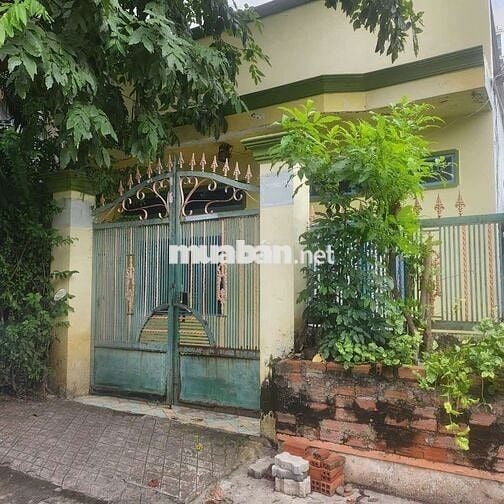 Cho thuê nhà cấp bốn diện tích rộng