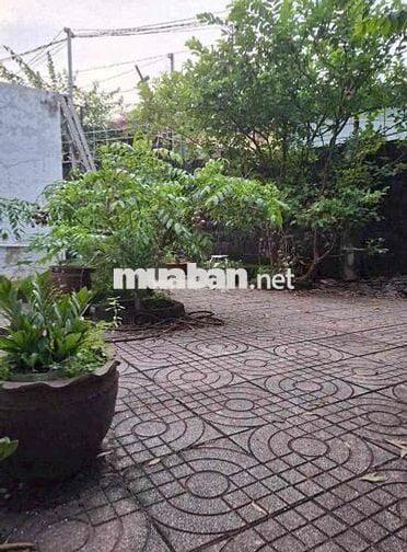 Cho thuê nhà vườn 291,7m2, (3PN), phường Trung Dũng, Biên Hoà.