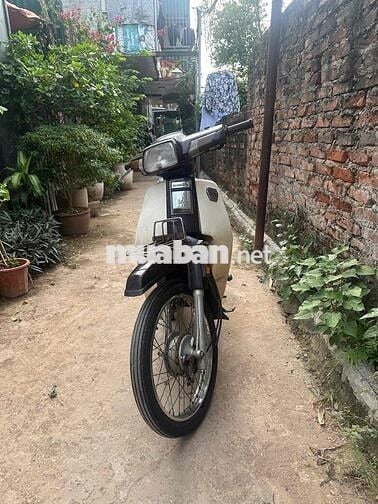 Chính chủ cần bán Dream Thái mộc đky biển mới!