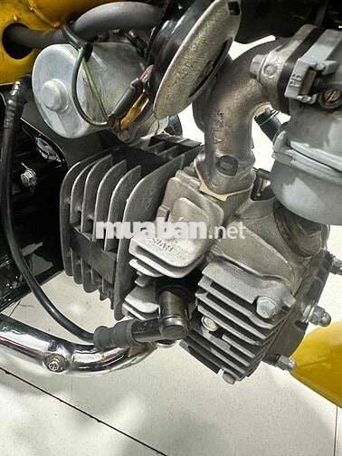 Super Dream Kiểng Bstp Dọn Keng