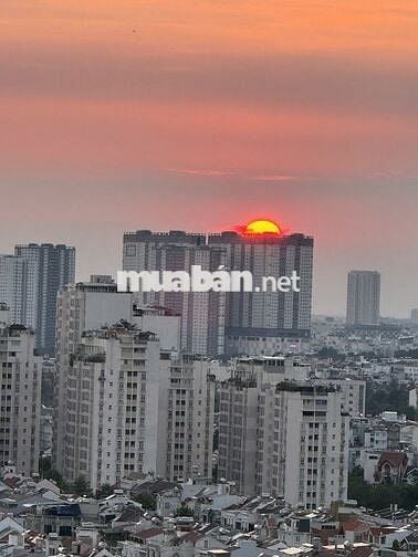 Chính chủ cần bán gấp căn hộ Scenic Valley 1, Phú Mỹ Hưng, Q7
