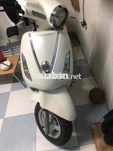 Bán xe tay ga như hình