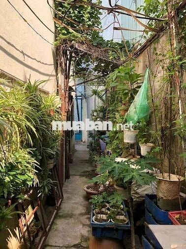 ❗️CẦN BÁN GẤP NHÀ HẺM CẤP 4 - 97,5m2 - Full THỔ - SHR - HC - 3.5T TL