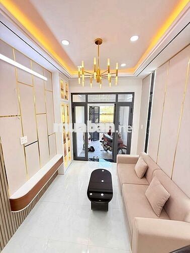 3,1 Tỷ TL nhà sổ riêng 1 lầu 3 x 13 hẻm 48/ Đặng Nhữ Lâm kho B