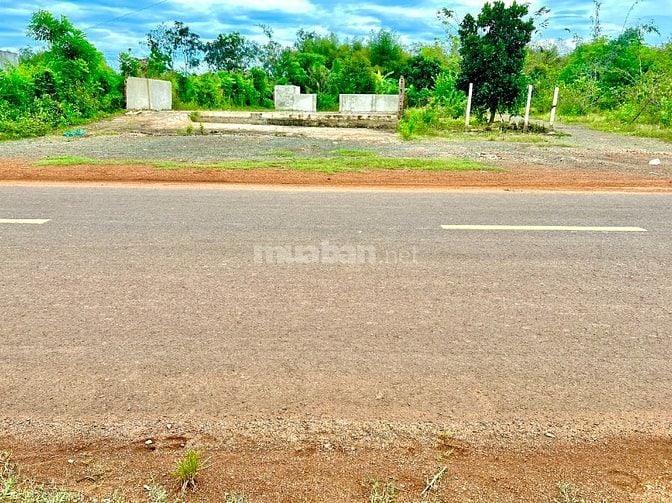  2SỔ (11X50=516m2) THỔ CƯ, 275Tr SÁT ỦY BAN TRƯỜNG CHỢ CÂY NHÀ SAN SÁT