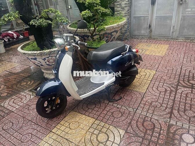 Bán xe Scoopy Crea 50cc,Bst15 đời 2019,xe đẹp gtdd