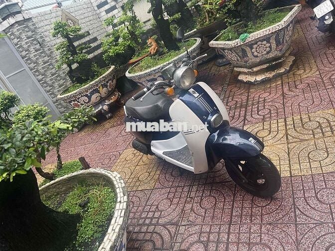 Bán xe Scoopy Crea 50cc,Bst15 đời 2019,xe đẹp gtdd