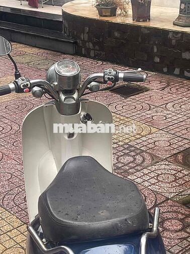 Bán xe Scoopy Crea 50cc,Bst15 đời 2019,xe đẹp gtdd