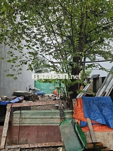 BÁN ĐẤT THỔ CƯ HẺM 23 AN PHÚ ĐÔNG 26, QUẬN 12 – SỔ ĐỎ CHÍNH CHỦ