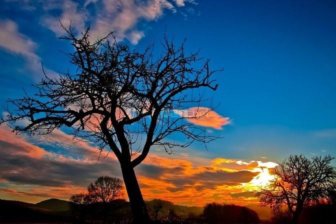 Quỹ căn chính chủ SH Regal Pavillon Đà Nẵng - Dòng tiền 60trđ/tháng