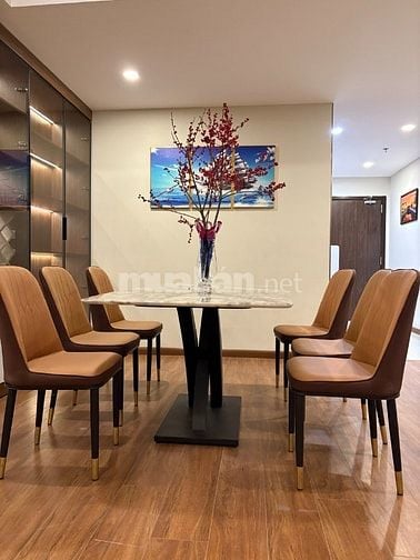 Cho thuê căn hộ cao cấp Discovery Complex, Cầu Giấy