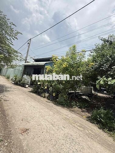 166m² NỞ HẬU – Xe tải vào – Xây CHDV cực đẹp – Giá 6.9 tỷ