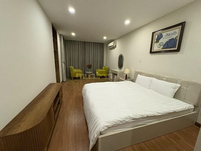 Cho thuê căn hộ cao cấp Discovery Complex, Cầu Giấy