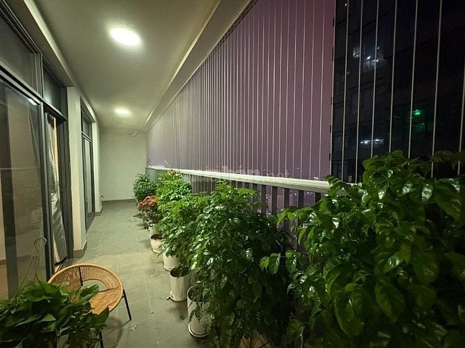 Cho thuê căn hộ cao cấp Discovery Complex, Cầu Giấy