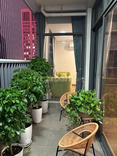 Cho thuê căn hộ cao cấp Discovery Complex, Cầu Giấy