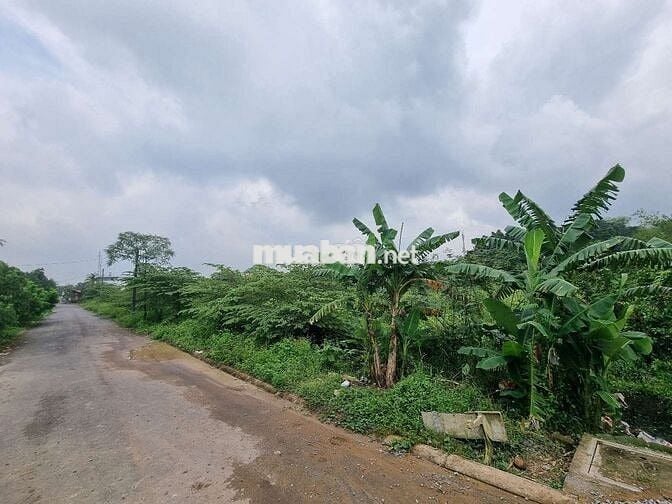 Hơn 1ha đất kdc hiện hữu 3mt Nhị Bình 10A view sông