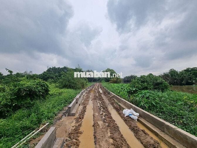 Hơn 1ha đất kdc hiện hữu 3mt Nhị Bình 10A view sông