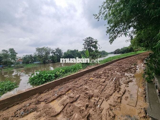 Hơn 1ha đất kdc hiện hữu 3mt Nhị Bình 10A view sông