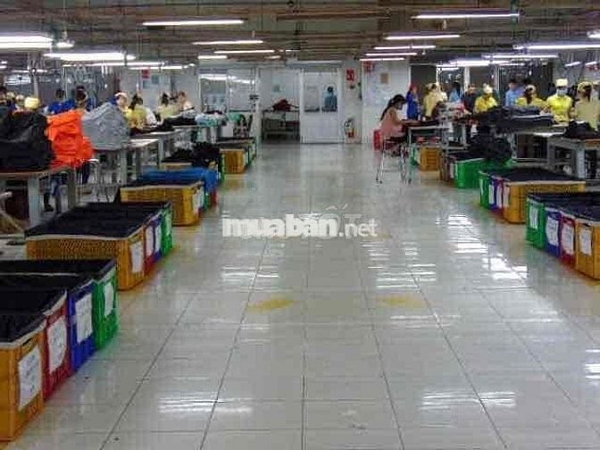 CHO THUÊ NHÀ XƯỞNG MAY MẶC KCN DĨ AN