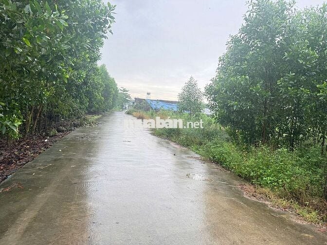 Bán đất an viễn gần kcn giá đầu tư sổ riêng thổ cư 5x20