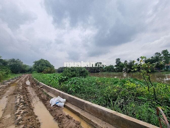 Hơn 1ha đất kdc hiện hữu 3mt Nhị Bình 10A view sông