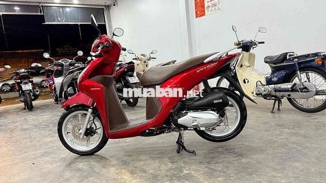 Vision Siêu cọp. Nguyên Zin. Đẹp Như XE MỚI