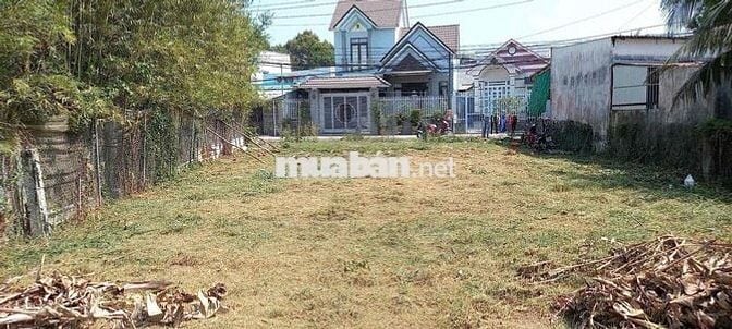 Nhà bà dì cần ra đi gấp miếng đất cho con gái đi du học