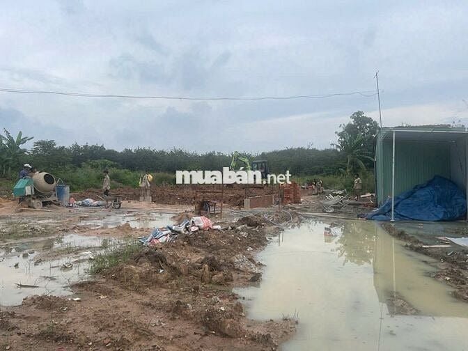 Bán gấp 300m2 thổ cư đường nhựa HL 605 32m Ngay KCN Mỹ Phước 2,3