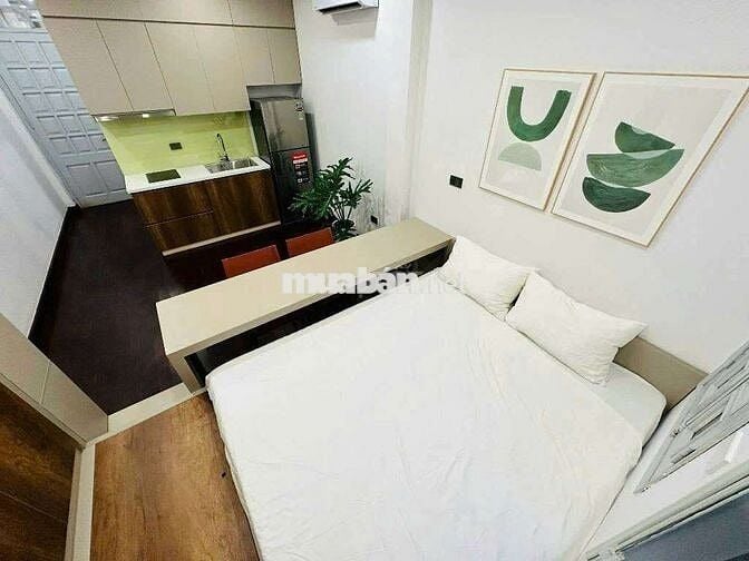 Liễu Giai phố VIP trung tâm-nhà dòng tiền 7p cho thuê ngõ ô tô giá đẹp