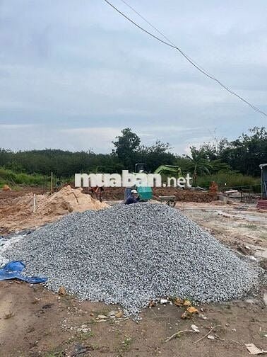 Bán gấp 300m2 thổ cư đường nhựa HL 605 32m Ngay KCN Mỹ Phước 2,3