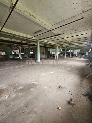 Cho thuê kho xưởng 2.500m2 xã Thái Mỹ, Củ Chi, PCCC tự động thẩm duyệt