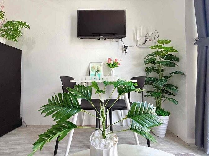 2PN CỬA SỔ QUẬN 4, 50m2  MÁY GIẶT RIÊNG, CHỢ XÓM CHIẾU, TÔN ĐẢN QUẬN 1