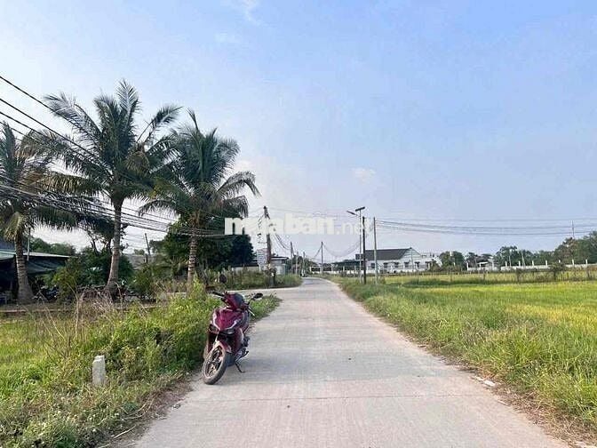 bán Đất sát 823D Mỹ Hạnh (DHT cũ) – Đường bê tông Pháp Tuyền vào chỉ