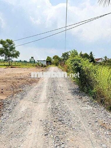 bán Đất sát 823D Mỹ Hạnh (DHT cũ) – Đường bê tông Pháp Tuyền vào chỉ