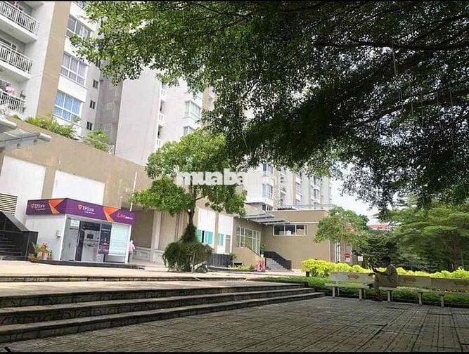 🏡Giỏ hàng bán căn hộ Hạnh Phúc (C/c Hạnh Phúc)