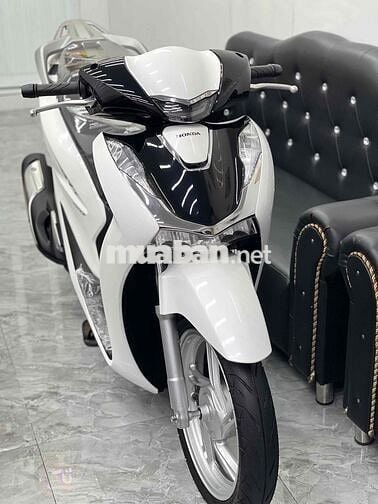 ⭐️ 𝗦𝗶𝗲̂𝘂 𝗣𝗵𝗮̂̉𝗺 ( 𝗦𝗵𝟭𝟲𝟬/𝟮𝟬𝟮𝟱/𝗔𝗕𝗦 𝗠𝗮̀𝘂 𝗛𝗢𝗧 )