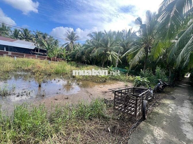 Bán đất lộ nhựa hoà hiệp tam bình giá 250tr