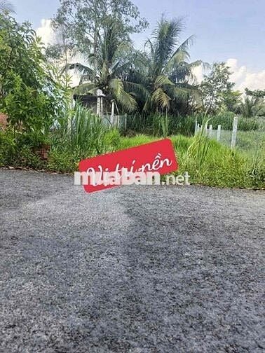 Bán đất lộ nhựa hoà hiệp tam bình giá 250tr