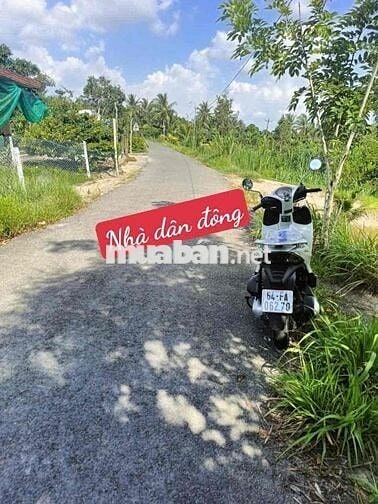 Bán đất lộ nhựa hoà hiệp tam bình giá 250tr