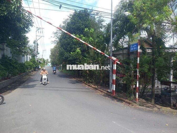 Ban đat phuong hung đinh gan cau ngang cho bung
