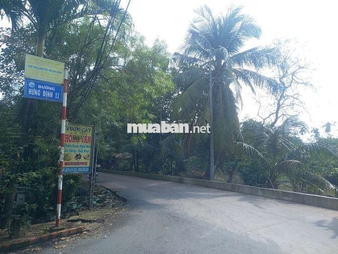 Ban đat phuong hung đinh gan cau ngang cho bung