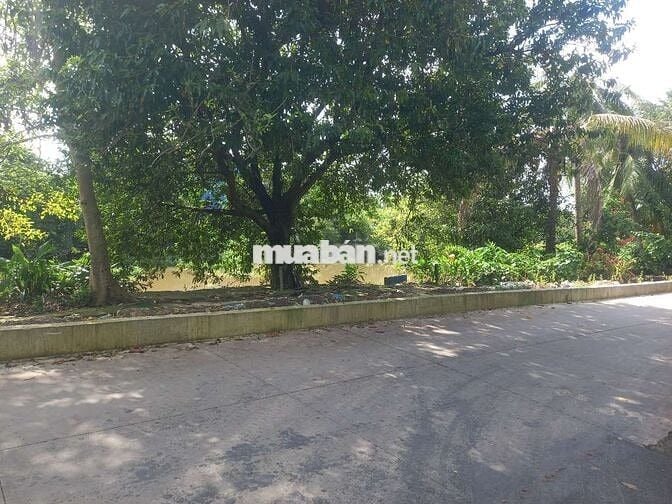 Ban đat phuong hung đinh gan cau ngang cho bung