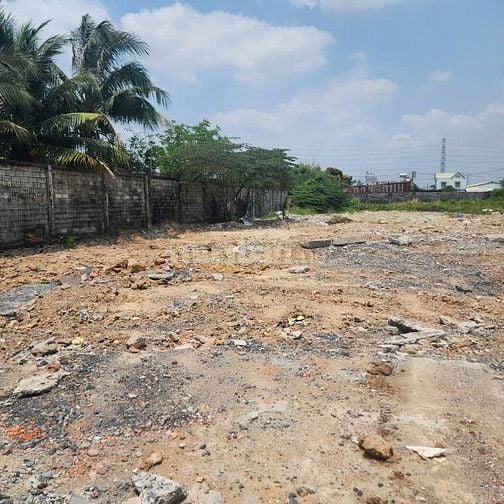 BÁN 2 LÔ ĐẤT MẶT TIỀN ĐƯỜNG ĐÔNG THẠNH, HÓC MÔN - CƠ HỘI VÀNG CHO NHÀ 