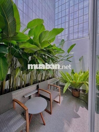 PHÒNG SÂN VƯỜN 35M2_1PN TÁCH BẾP_PHAN VĂN HÂN, PHƯỜNG 17, BÌNH THẠNH