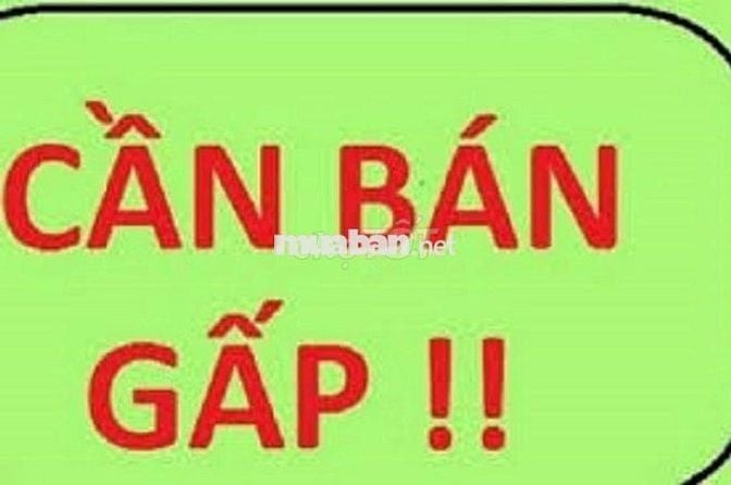 Nhà Nát - full thổ cư - Sát Công Viên Trường Học - SHR - Hẻm xe tải