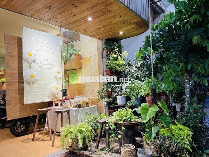 Căn hộ studio dành cho 4-6 khách