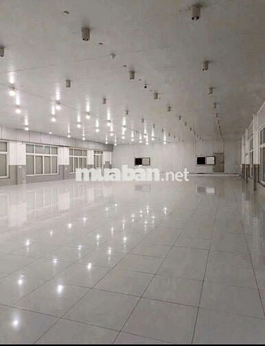 CHO  THUÊ  KHO  XƯỞNG ĐẸP( 5200m2) XÃ  TÂN KIÊN. BÌNH CHÁNH